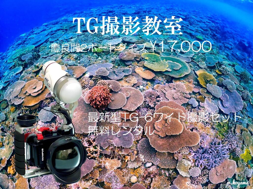 【最終値引き】水中カメラ初心者セット(TG-5)