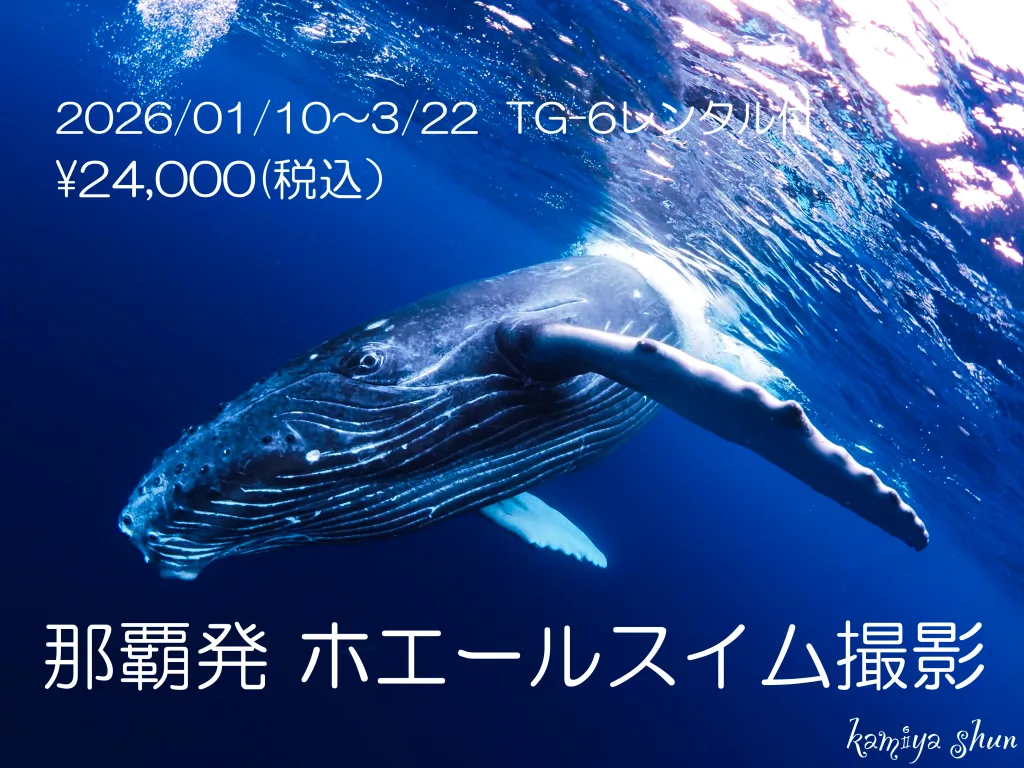 87eb23224d5440d58cc7a729afc551