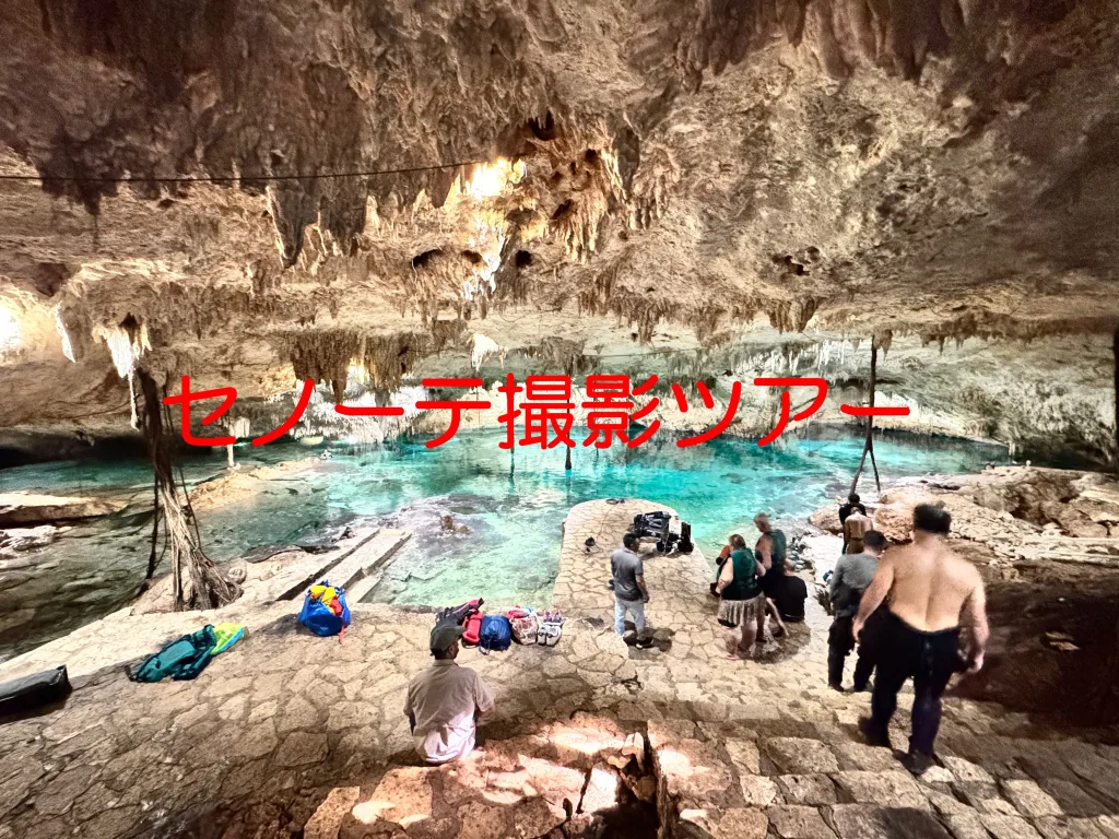 メキシコ・セノーテ撮影ツアー ・2026 | Marine Product